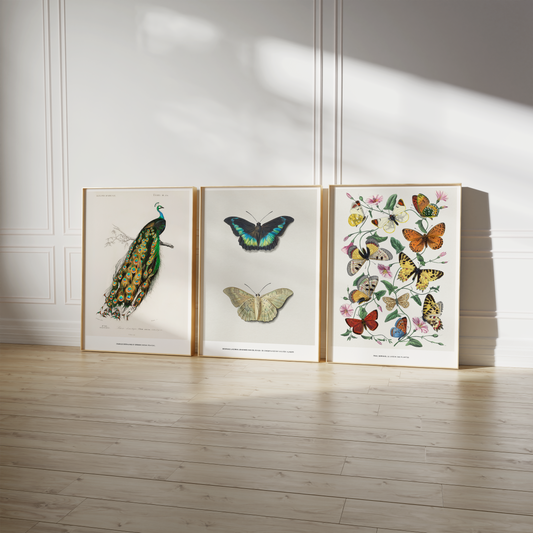Vintage Tier Poster · Geschenkidee · Schmetterlinge Flamingo, Pfau Botanische Illustrationen · Dekoprint ohne Rahmen