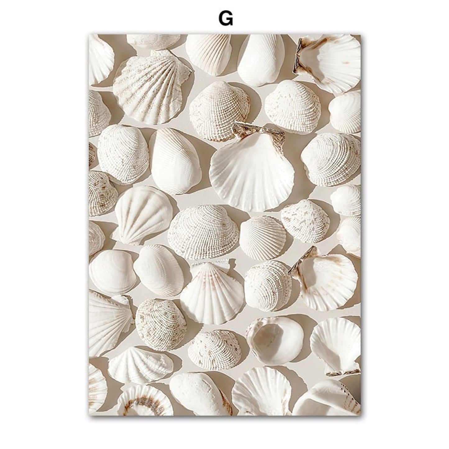 Poster Strand Hütte · Muscheln · Korallen · Ozean · Meer als Deko Print ohne Rahmen