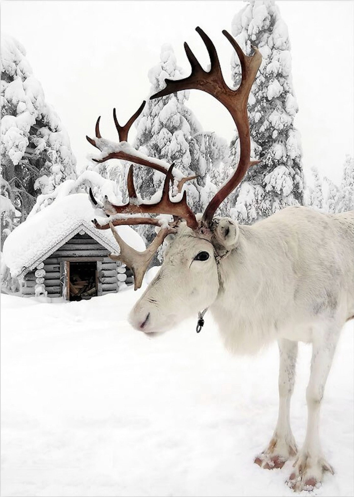 Poster Winter Holz Hütte im Schnee Rentier Tannenzapfen | Bilder Wohnzimmer | Wandbilder Schlafzimmer | Deko Print ohne Rahmen | Bilder Set