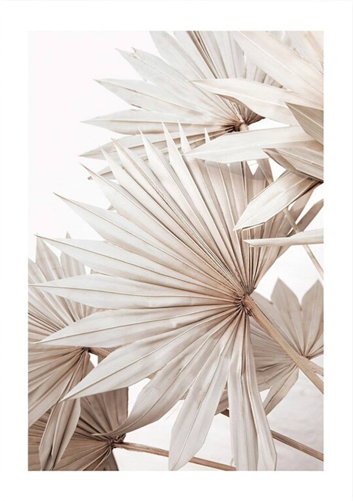 Stilvolles Poster von justgoodmood mit Pampasgras und Trockenblumen, ideal für moderne und skandinavische Dekoration. Bringen Sie frisches Flair in Ihr Zuhause!