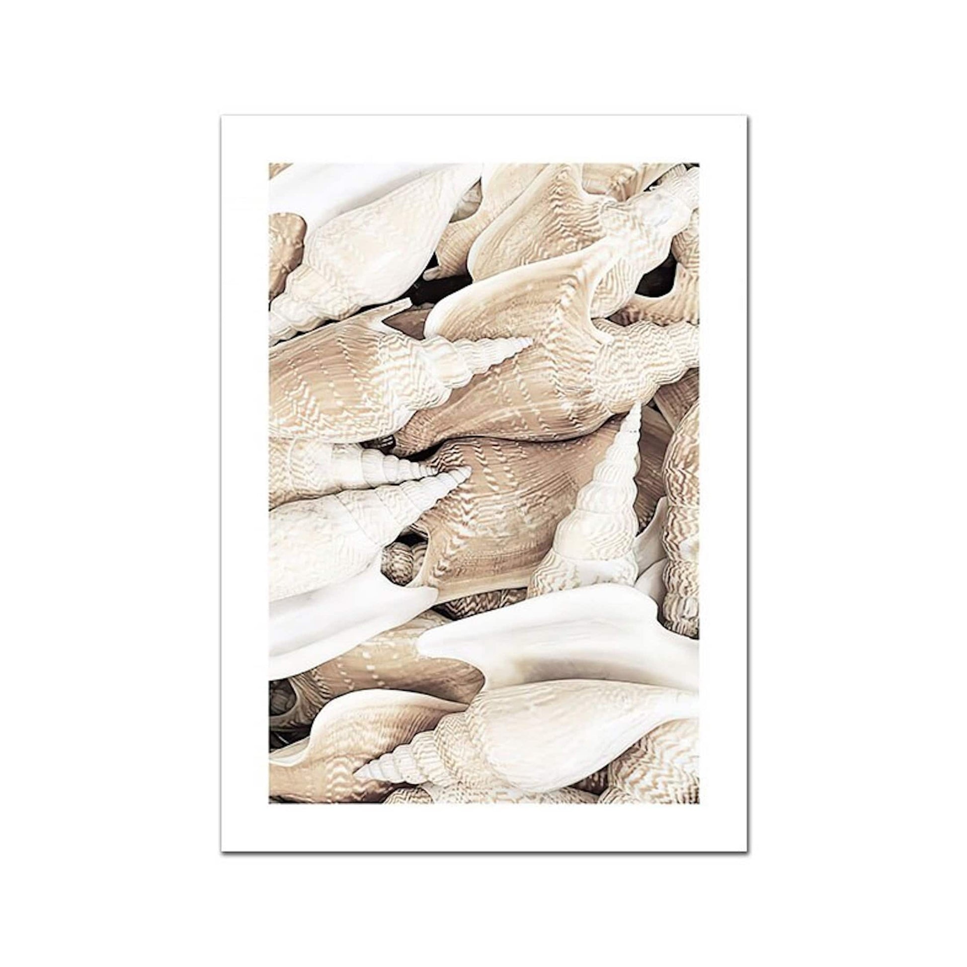 Detailreiche Darstellung von Muscheln im Poster 'Sonnenaufgang am Strand' von justgoodmood, das Ihrem Zuhause einen maritimen Charme verleiht.