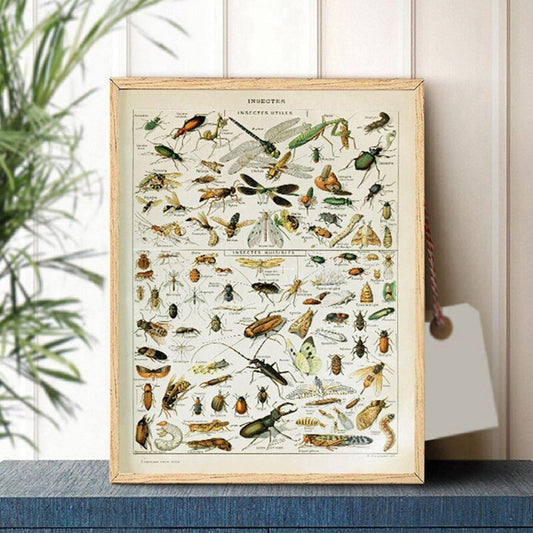 Schönes Deko-Poster von justgoodmood mit einer vielfältigen Darstellung von Insekten, Schmetterlingen und Champignons, ideal für kreative Wohnräume.