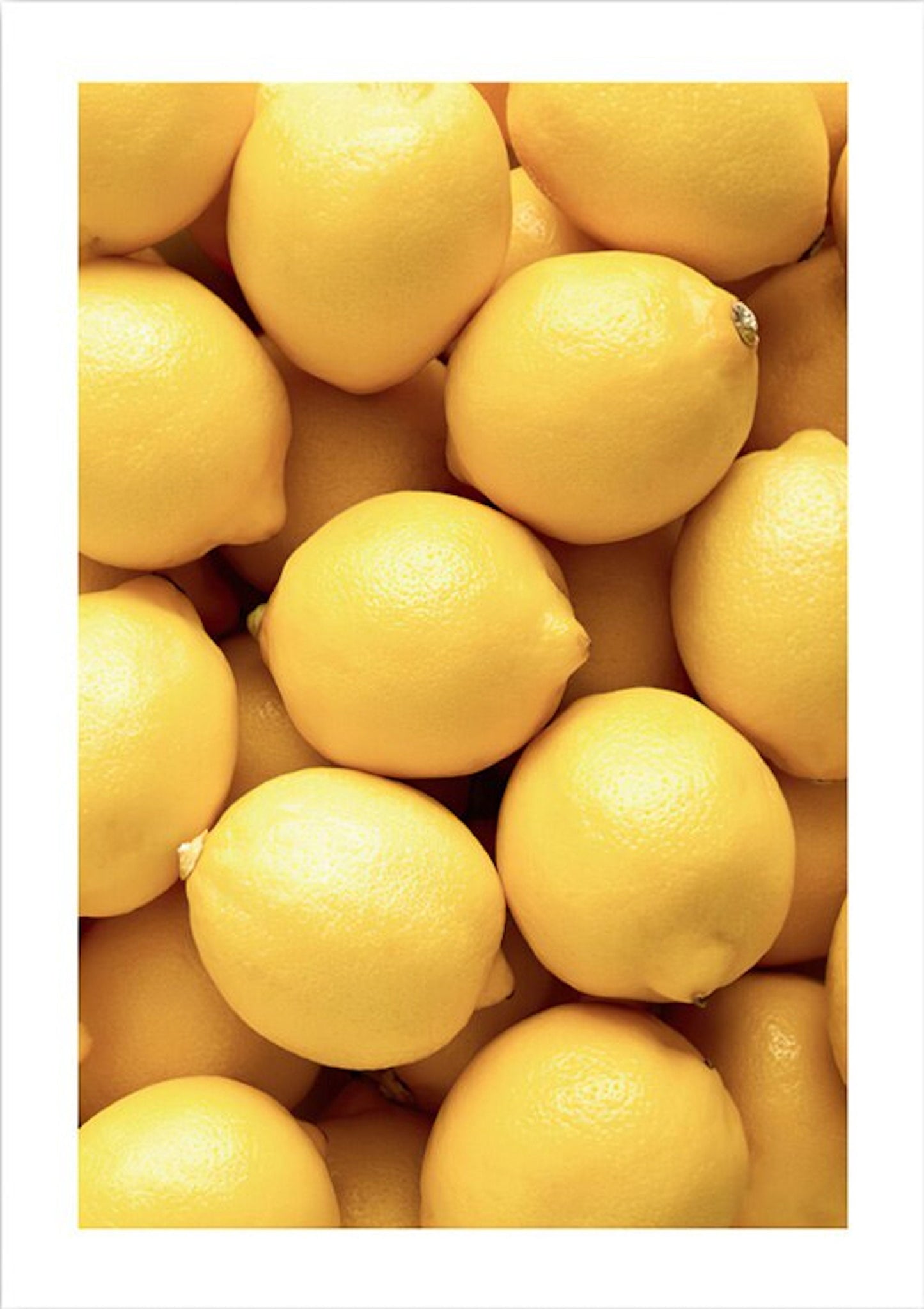 Lebendige Zitronen auf einem dekorativen Poster von justgoodmood, das frische Stimmung verbreitet - Teil des Designs 'Poster Macaron und Avocado als Deko Print ohne Rahmen'.