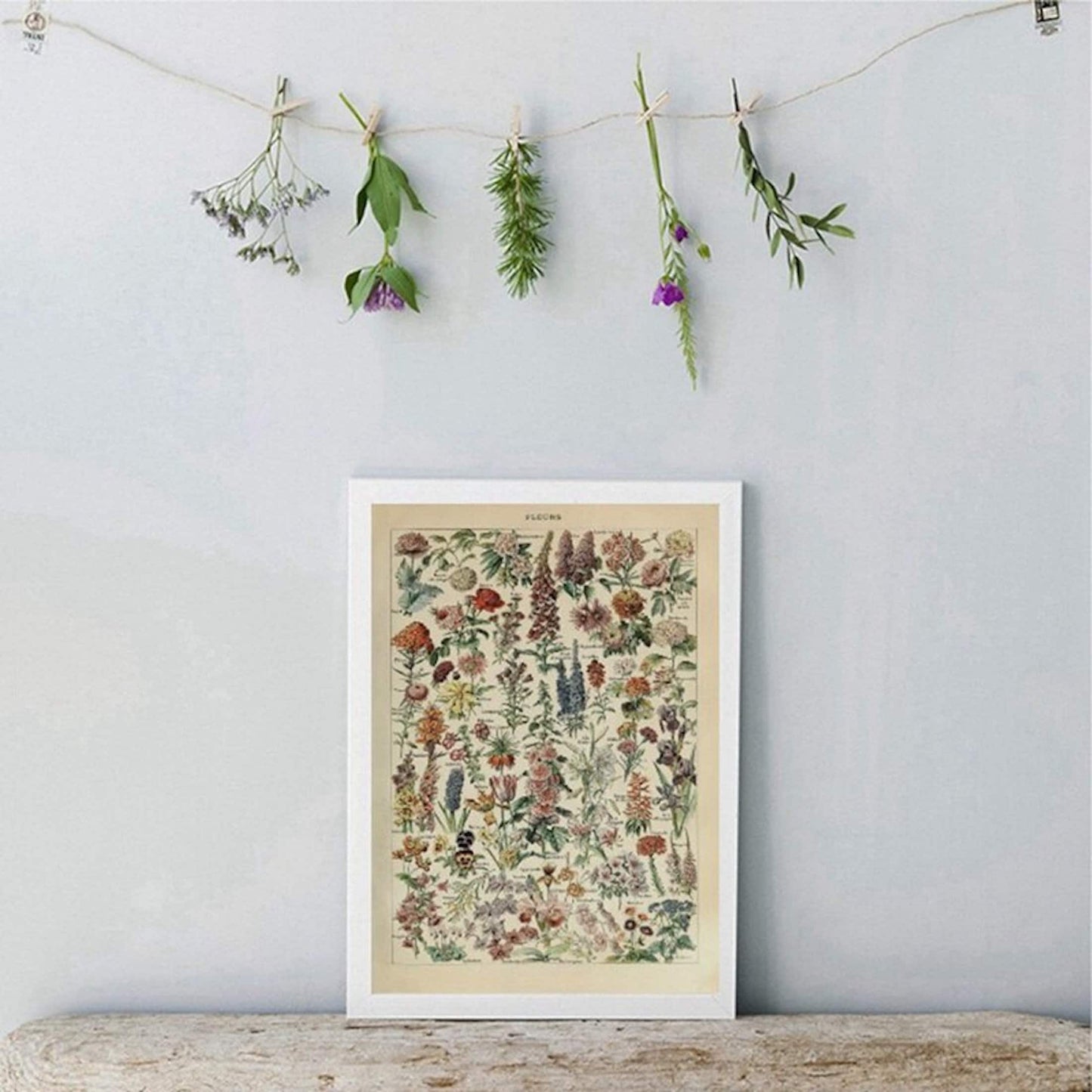 Poster Insekten Schmetterlinge Champignons und Blumen als Deko Print ohne Rahmen