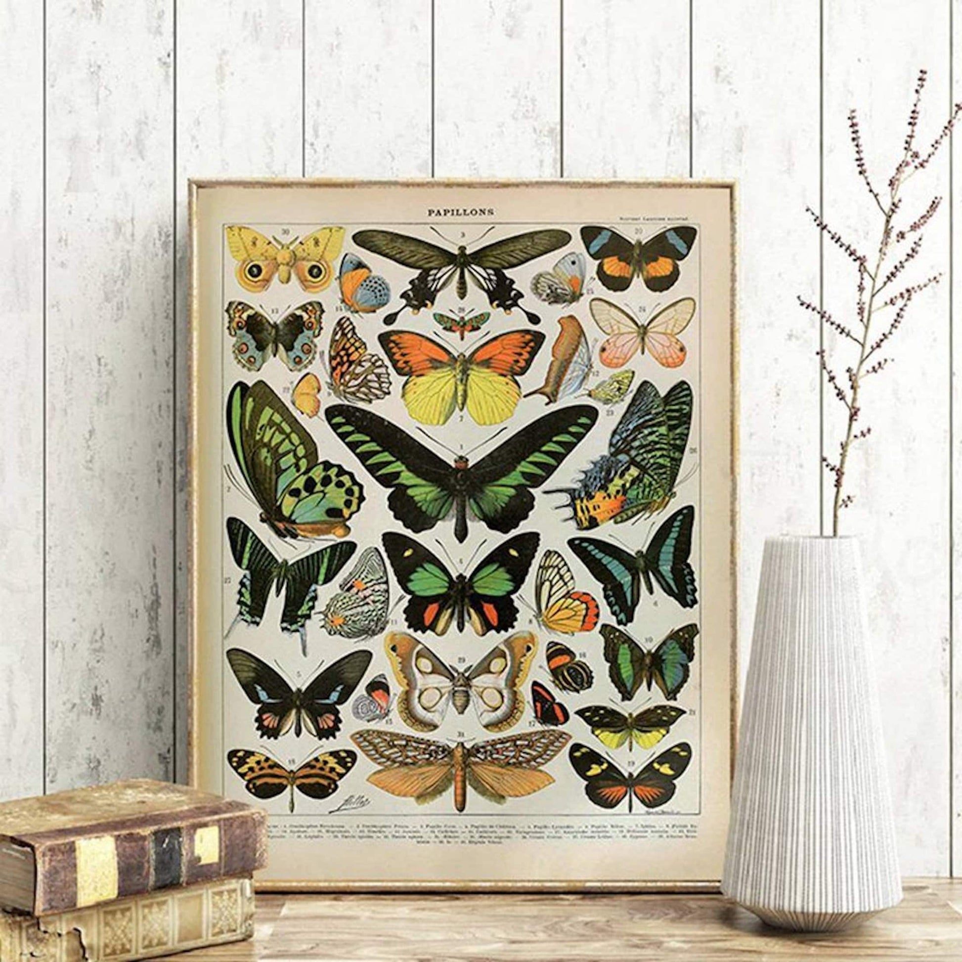 Schönes Poster mit Schmetterlingen und Insekten von justgoodmood – Dekoratives Kunstwerk für eine inspirierende Wohnzimmergestaltung.