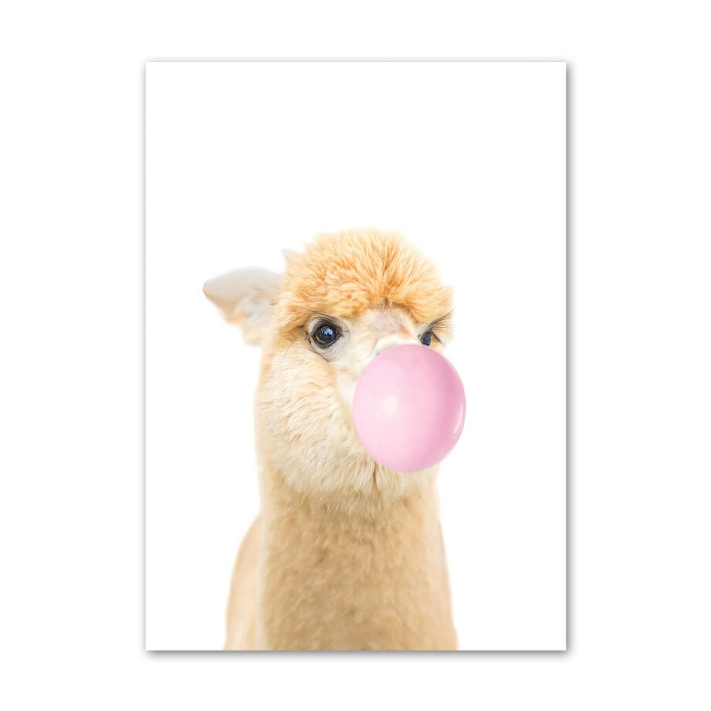 Alpaka mit pinkem Kaugummi, entzückendes Deko-Print von justgoodmood – perfektes Kinder Tiere Poster für eine fröhliche Raumgestaltung.