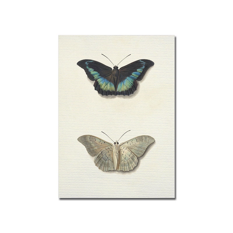 Vintage Poster Frühling Landschaft mit Blick in den Garten, Äpfel und Schmetterlinge, von justgoodmood. Detailreiche Darstellung von Schmetterlingen, die Frische und Schönheit des Frühlings verkörpern.