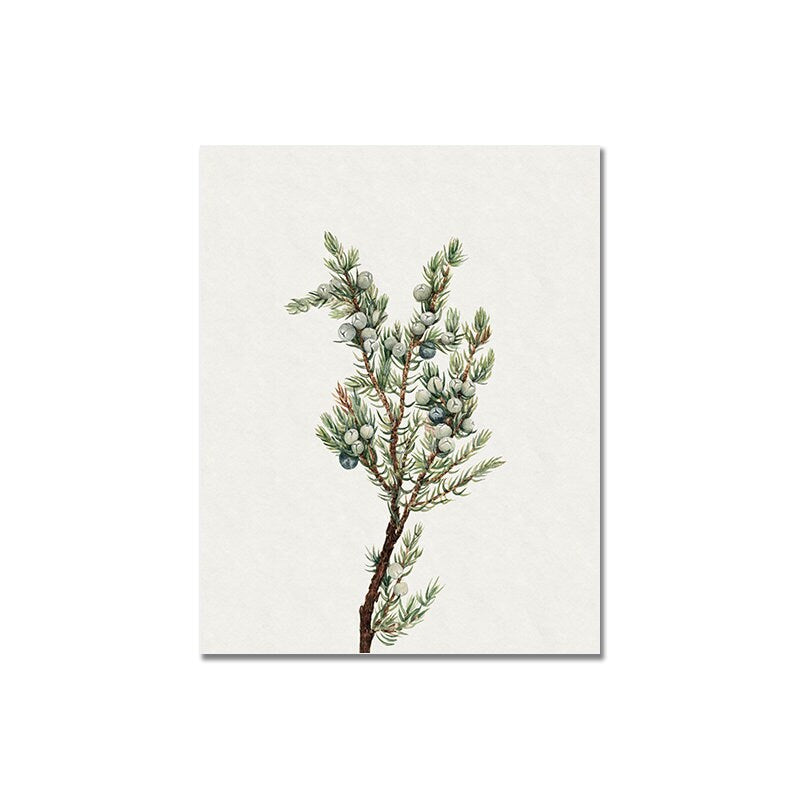 Vintage Blumen und Sightseeing mit dem Boot Poster von justgoodmood, zeigt eine schöne botanische Illustration eines blühenden Zweigs mit Beeren.