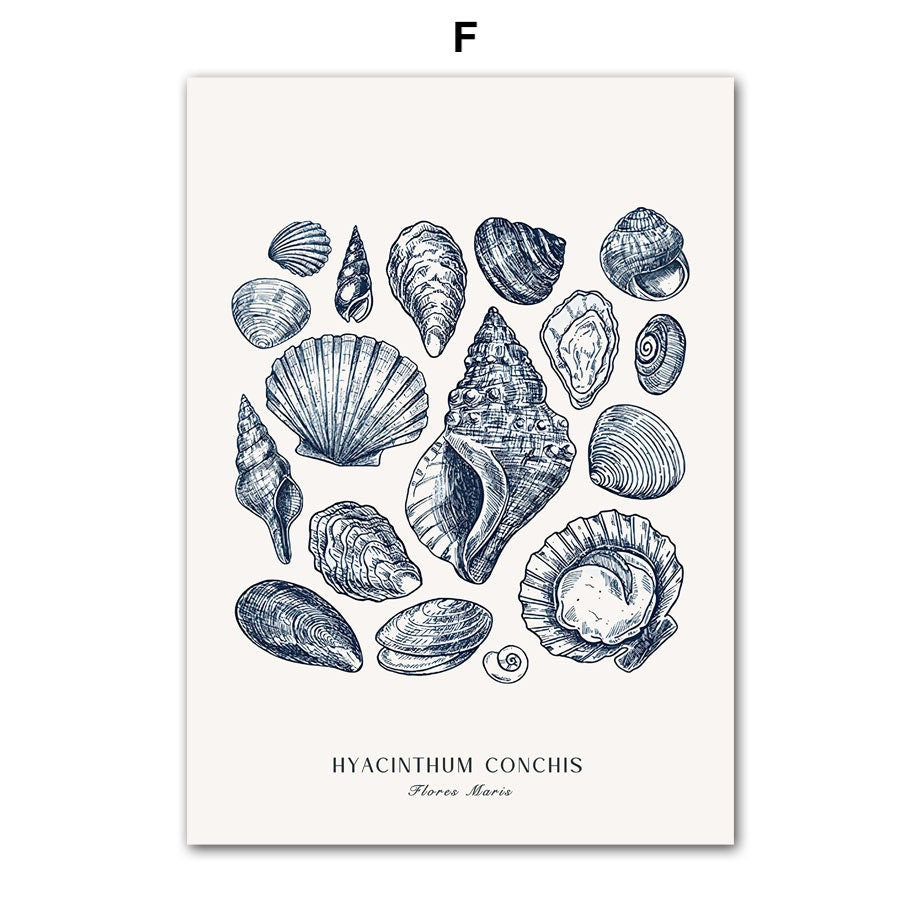 Schönes Poster "Strand Hütte" von justgoodmood mit detaillierten Illustrationen von Muscheln, ideal für maritime Wohnkultur.