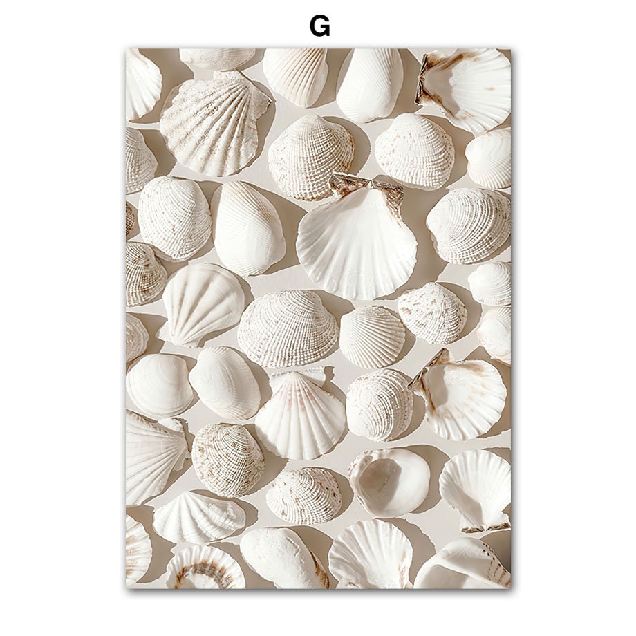 Elegantes Poster "Strand Hütte" von justgoodmood präsentiert eine Vielzahl von weißen Muscheln, perfekt für eine frische, beruhigende Raumgestaltung.