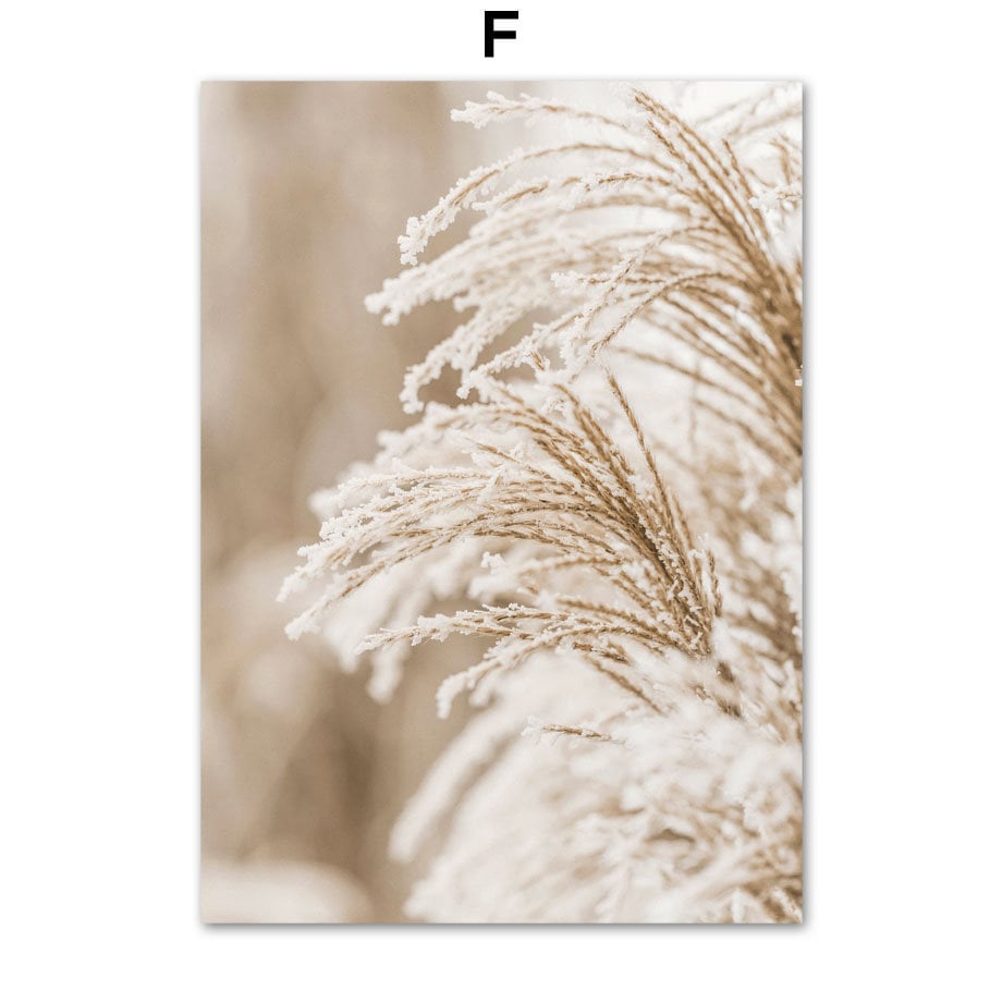 Wandbild "Pampasgras Beige Liebe" von justgoodmood, zeigt winterlich angehauchtes Gras in warmen Beigetönen - ideal für eine gemütliche Atmosphäre.