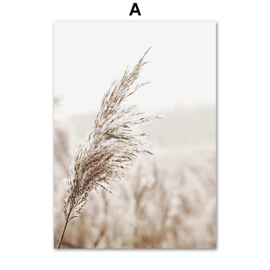 Detailliertes Bild eines Pampasgrases, Teil des Posters Meer Pampasgras Beige Gold von justgoodmood, präsentiert die natürliche Schönheit in eleganter sepia Farbe.