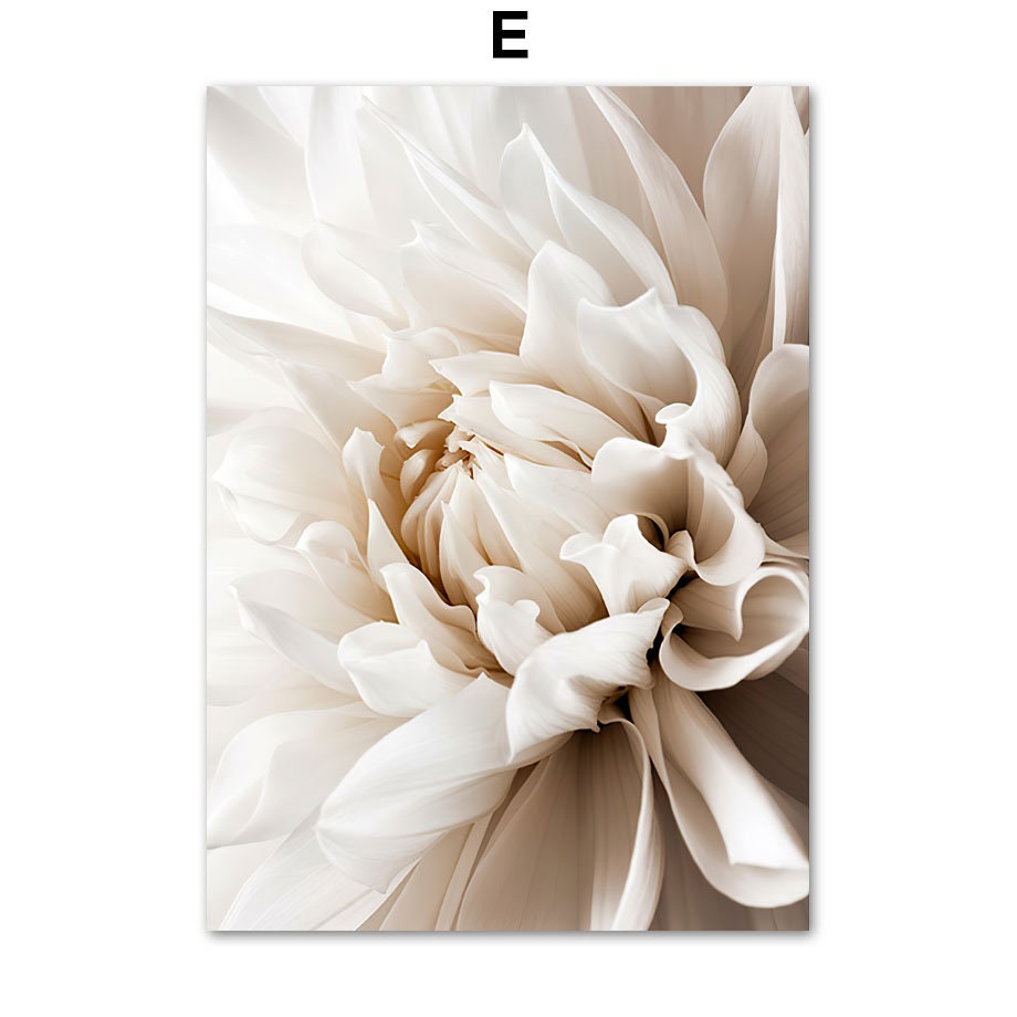 Bezauberndes Poster einer weißen Blume von justgoodmood, perfektes Wandbild für eine harmonische Wohnatmosphäre.