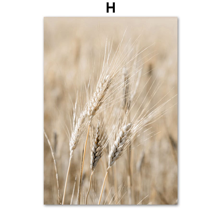 Hübsches Wandbild "Pampasgras Beige Liebe" von justgoodmood, dargestellt mit zarten Halmen in sanften Tönen - ausgezeichnet für einen boho-inspirierten Einrichtungsstil.