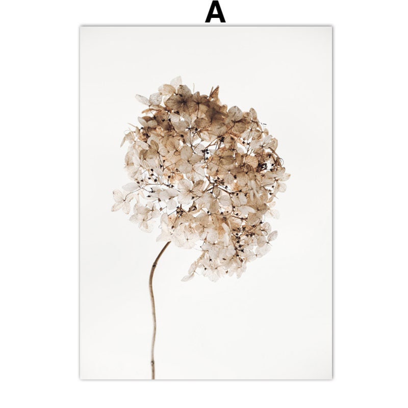 Elegantes Pampasgras Meer Beige Poster von justgoodmood, zeigt zarte Blüten auf weißem Hintergrund, ideal als Deko Print für einen charmanten und modernen Stil.