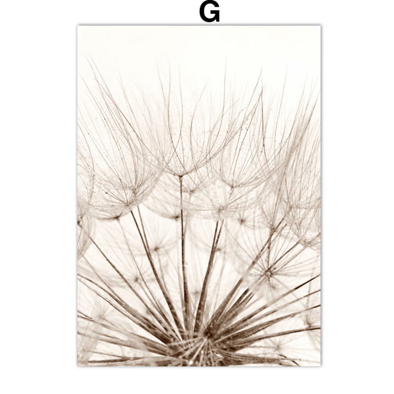 Stilvolles Poster Pampasgras Beige Spiegel von justgoodmood, das eine elegante close-up Ansicht von Pampasgras zeigt. Perfekt für Wohnzimmer und Schlafzimmer.