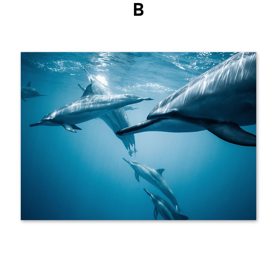 Delfine schwimmen in kristallklarem Wasser, ein faszinierendes Poster für Ihre Wände, Deko Print Bilder von justgoodmood.