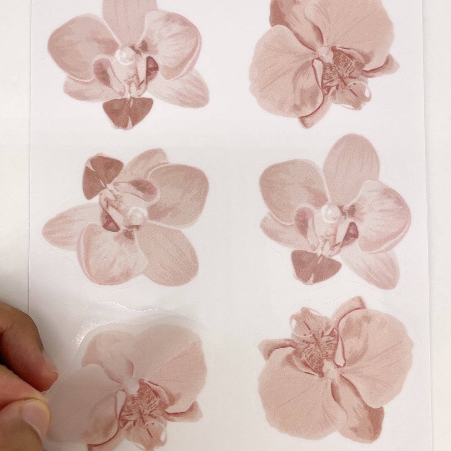 Ein schönes Set von Wandstickern aus Orchideen in sanften Farben, hergestellt von justgoodmood. Ideal zur Dekoration von Kinderzimmern.