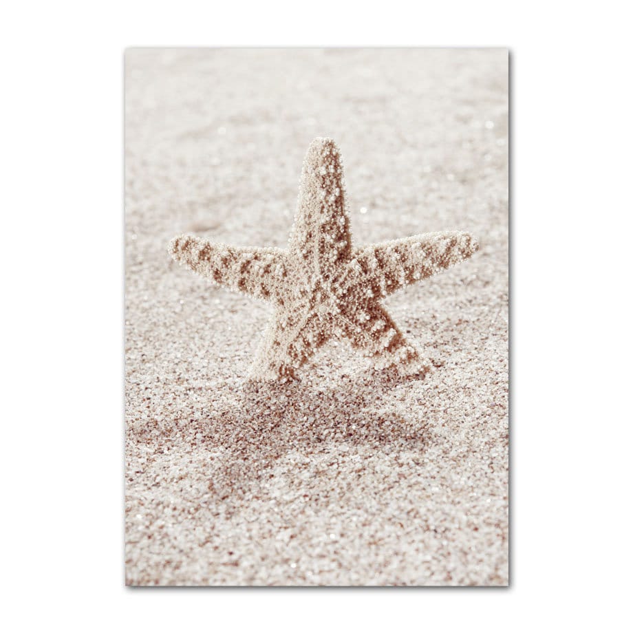 Ein bezaubernder Seestern im Sand, der maritime Eleganz ausstrahlt – Ein Kunstwerk von justgoodmood, Poster Surfbrett Strand Buggy Palmen Meer.