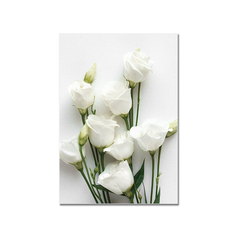 Schönes Poster mit weißen Rosen von justgoodmood, eine elegante Wanddekoration für jeden Raum.