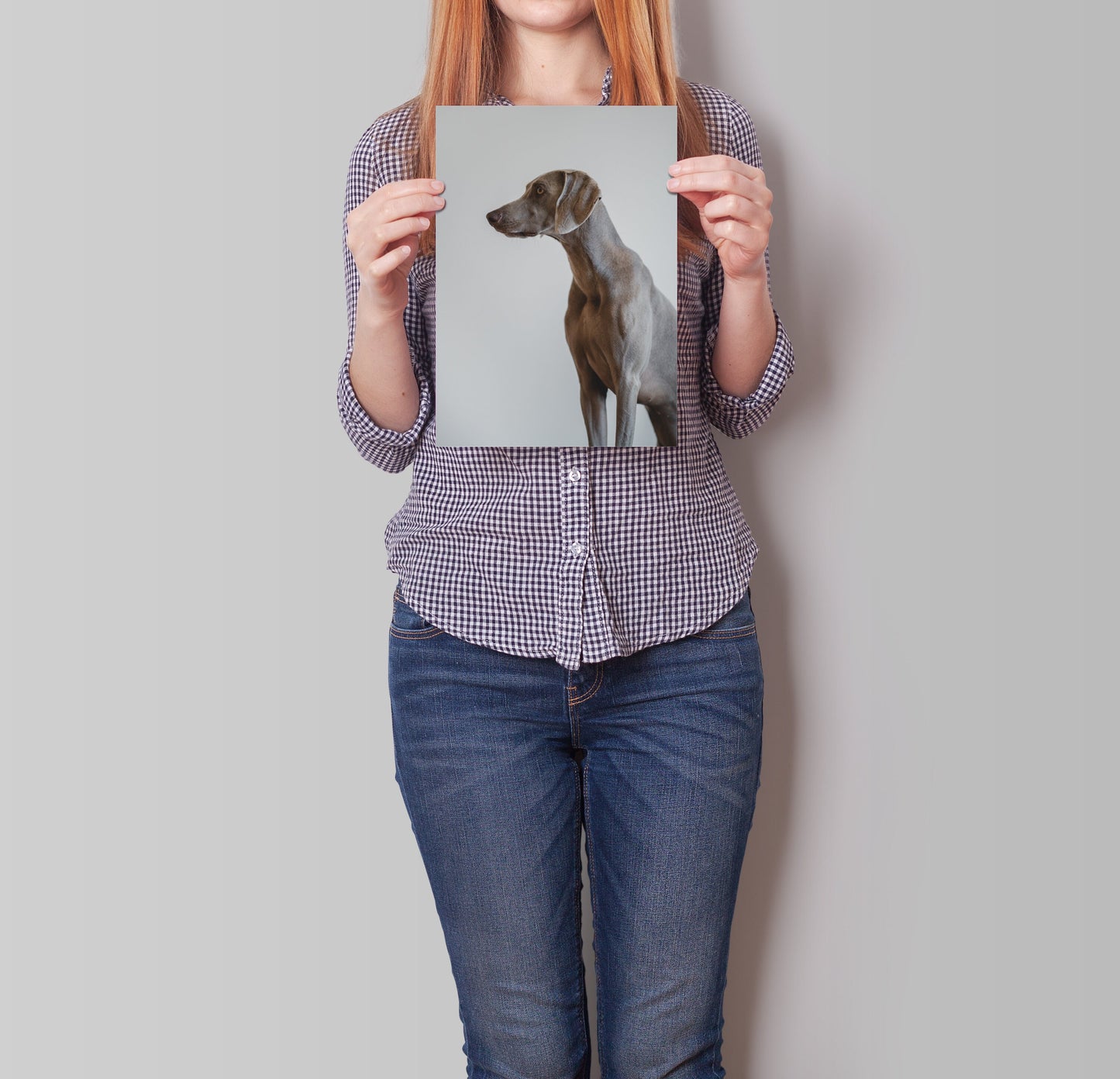 Eine Hundeporträtiert, präsentiert auf einem individuellen Poster von justgoodmood. Ideal für Tierliebhaber, die ihre Wände personalisieren möchten. Ihr Foto Bild Design zum Drucken große individuelle Poster Kunst.