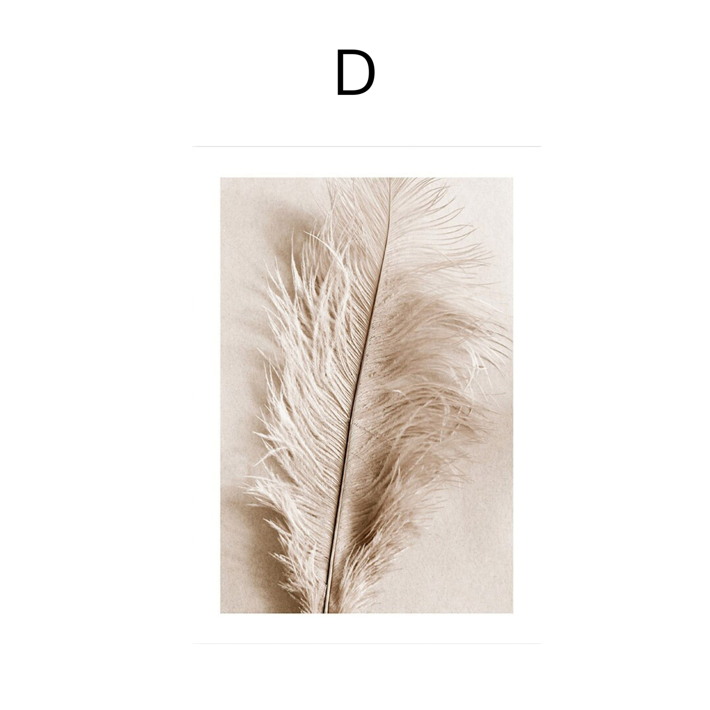 Poster Pampas Gras und Trockenblumen als Deko Print ohne Rahmen