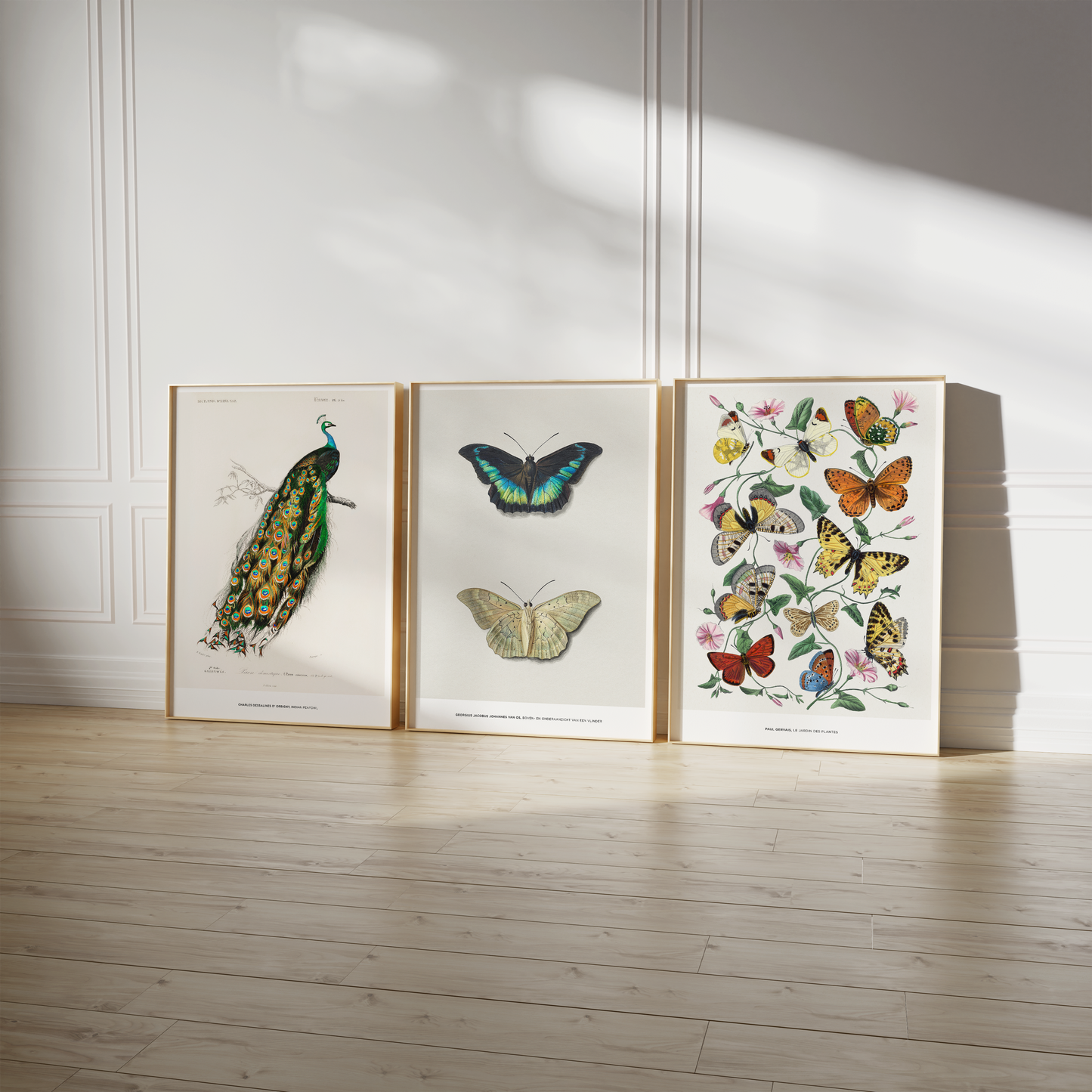Vintage Tier Poster · Geschenkidee · Schmetterlinge Flamingo, Pfau Botanische Illustrationen · Dekoprint ohne Rahmen