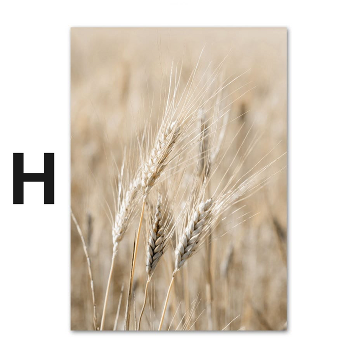 Poster Pampasgras Beige – Premium Baumwoll-Print