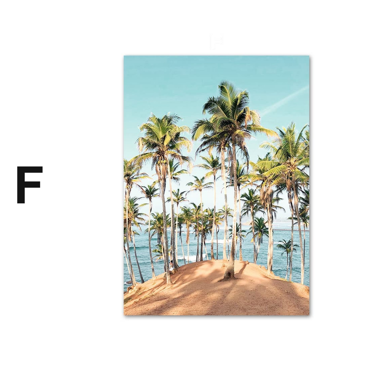 Poster Palmen Strand Muscheln Käfer Surfbretter Ananas · Wandbilder Wohnzimmer & Schlafzimmer ·  Wand Deko · Kunst Druck · ohne Rahmen