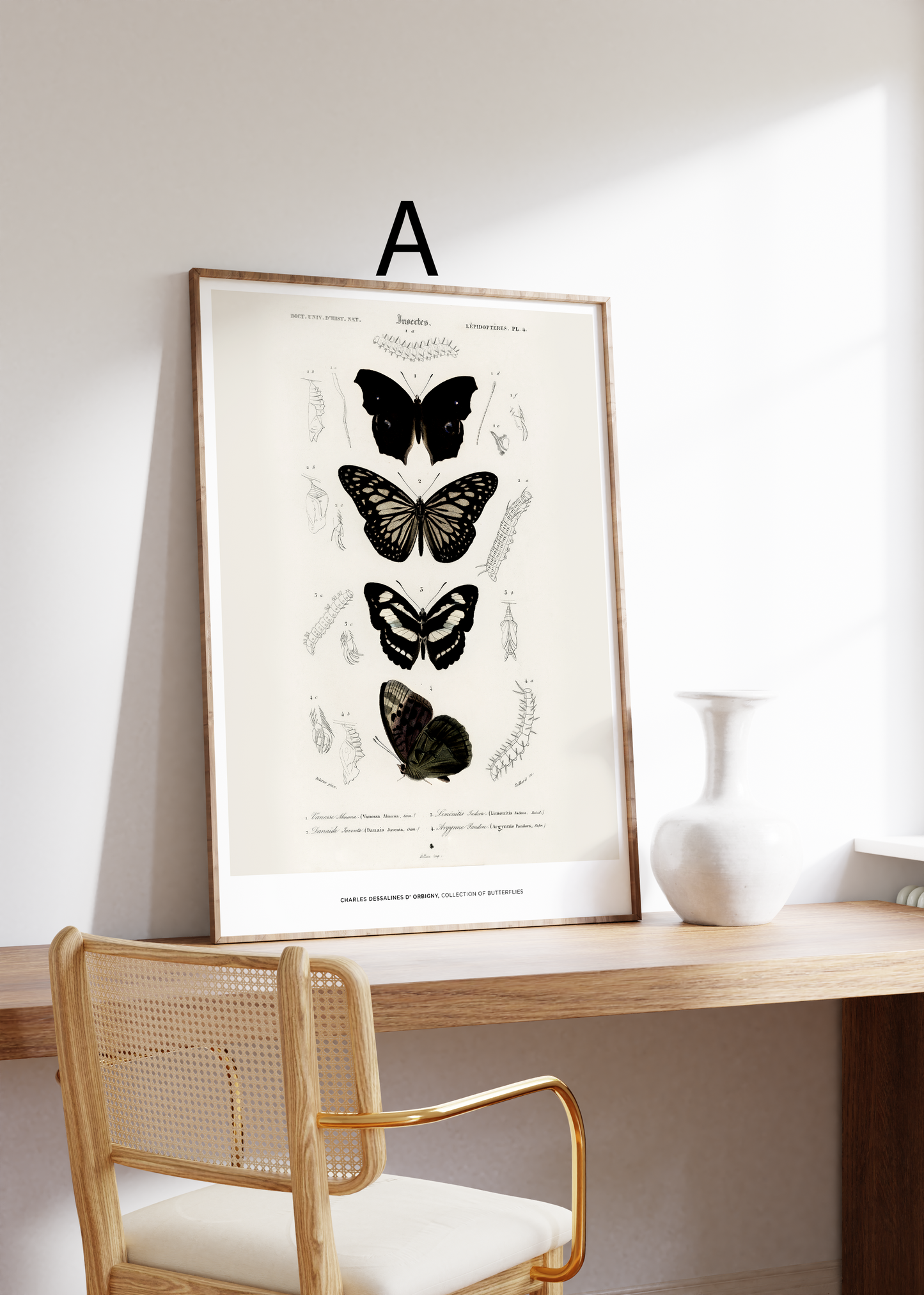 Vintage Tier Poster · Geschenkidee · Schmetterlinge Flamingo, Pfau Botanische Illustrationen · Dekoprint ohne Rahmen