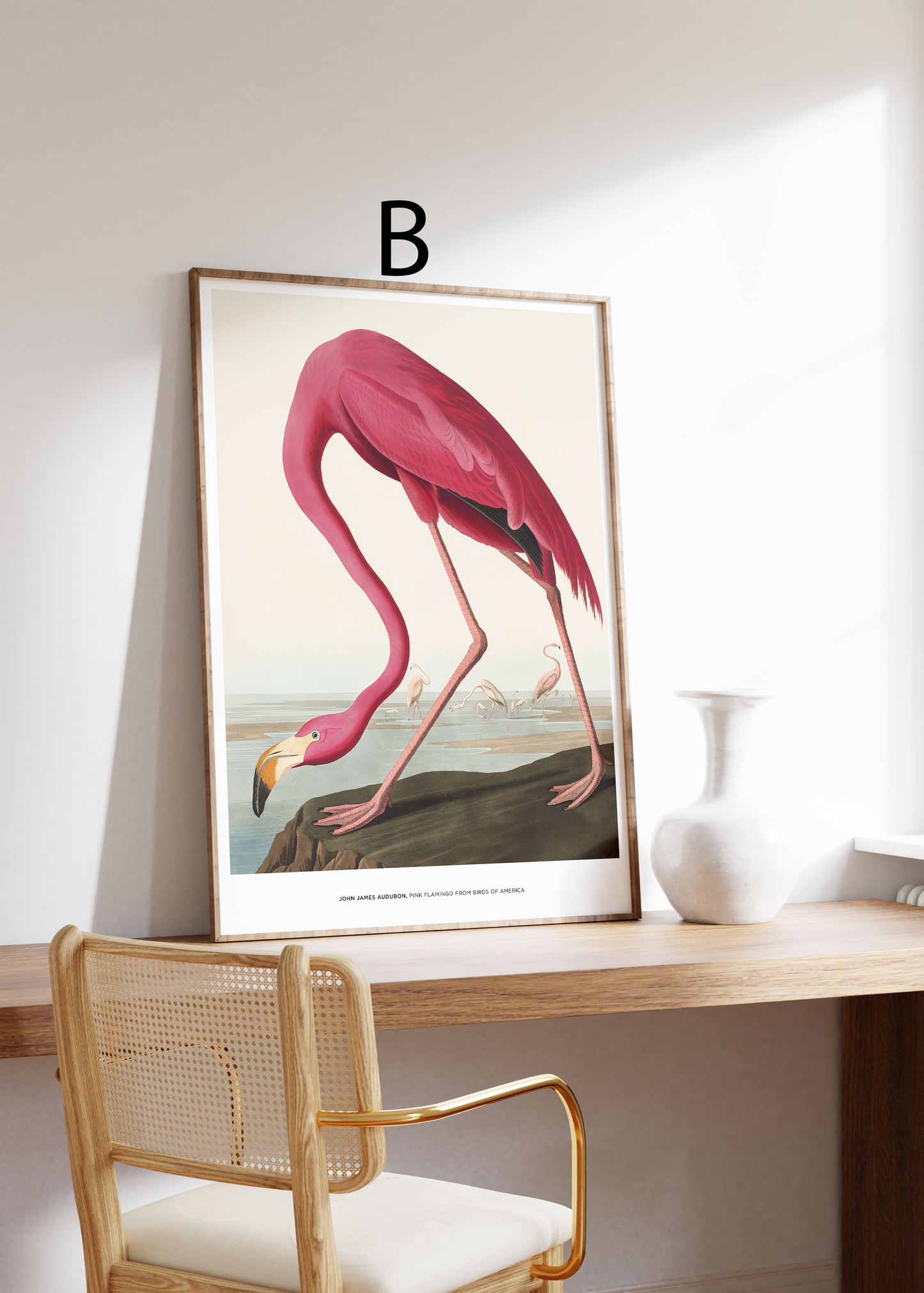 Vintage Tier Poster · Geschenkidee · Schmetterlinge Flamingo, Pfau Botanische Illustrationen · Dekoprint ohne Rahmen