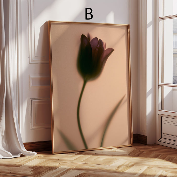 Geschenkidee · Tulpen und Blumen hinter Glas Poster Ästhetische Fotografie Prints · Dekoprint ohne Rahmen | JUSTGOODMOOD