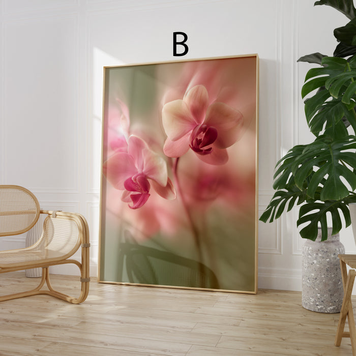 Geschenkidee · Blumen hinter Glas mit Wassertropfen Poster Ästhetische Fotografie Prints · Dekoprint ohne Rahmen | JUSTGOODMOOD