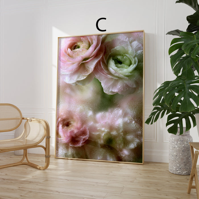 Geschenkidee · Ranunkeln und Blumen hinter Glas Poster Ästhetische Natur Fotografie · Dekoprint ohne Rahmen | JUSTGOODMOOD