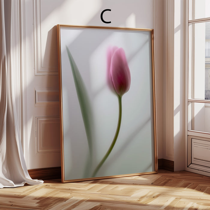 Geschenkidee · Tulpen und Blumen hinter Glas Poster Ästhetische Fotografie Prints · Dekoprint ohne Rahmen | JUSTGOODMOOD