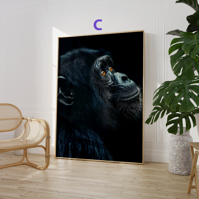 Affen Poster auf Baumwollcanvas – Premium Qualität