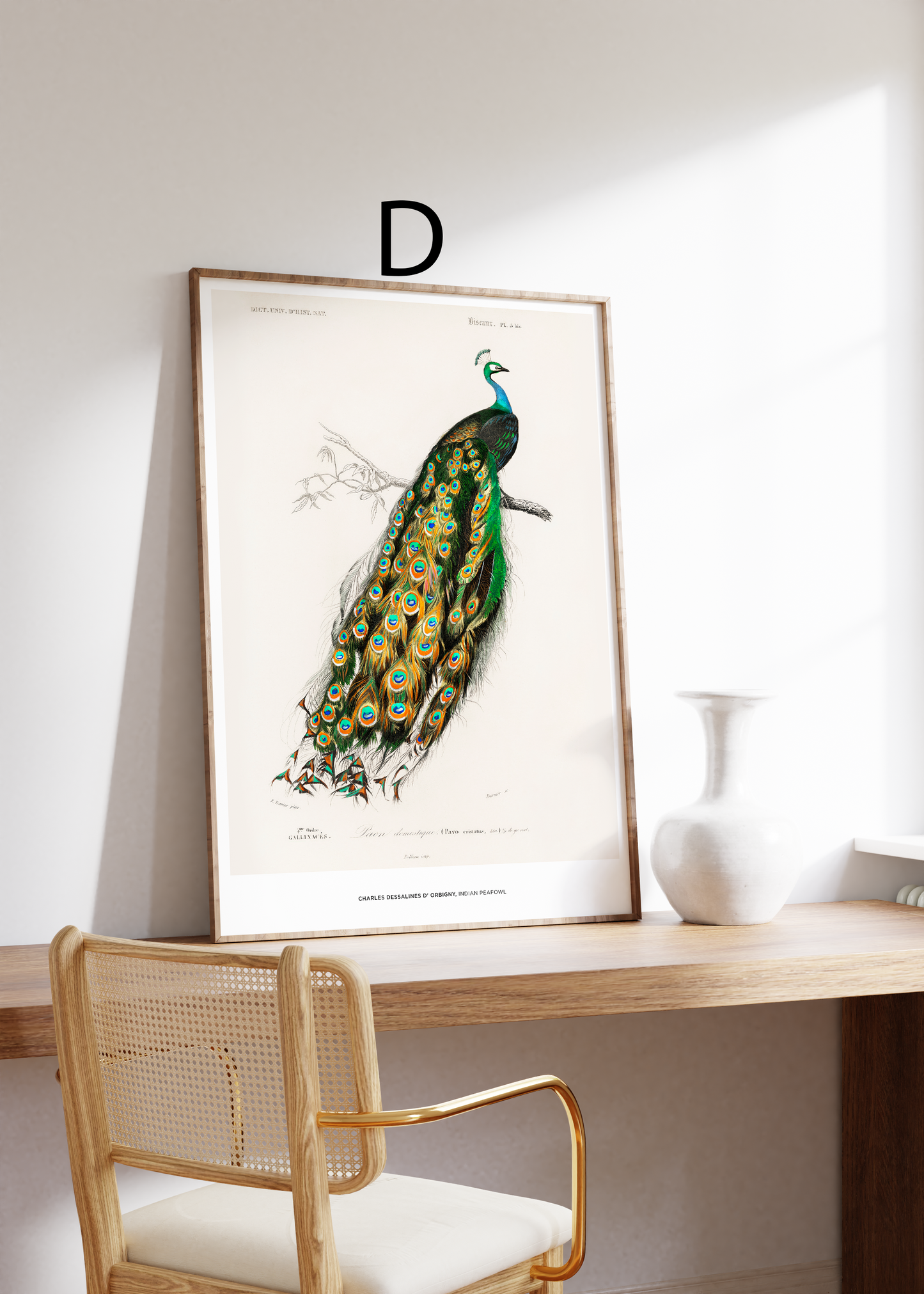 Vintage Tier Poster · Geschenkidee · Schmetterlinge Flamingo, Pfau Botanische Illustrationen · Dekoprint ohne Rahmen