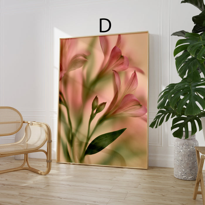 Geschenkidee · Blumen hinter Glas und Flachbild Fotografie Poster Ästhetische Prints · Dekoprint ohne Rahmen | JUSTGOODMOOD