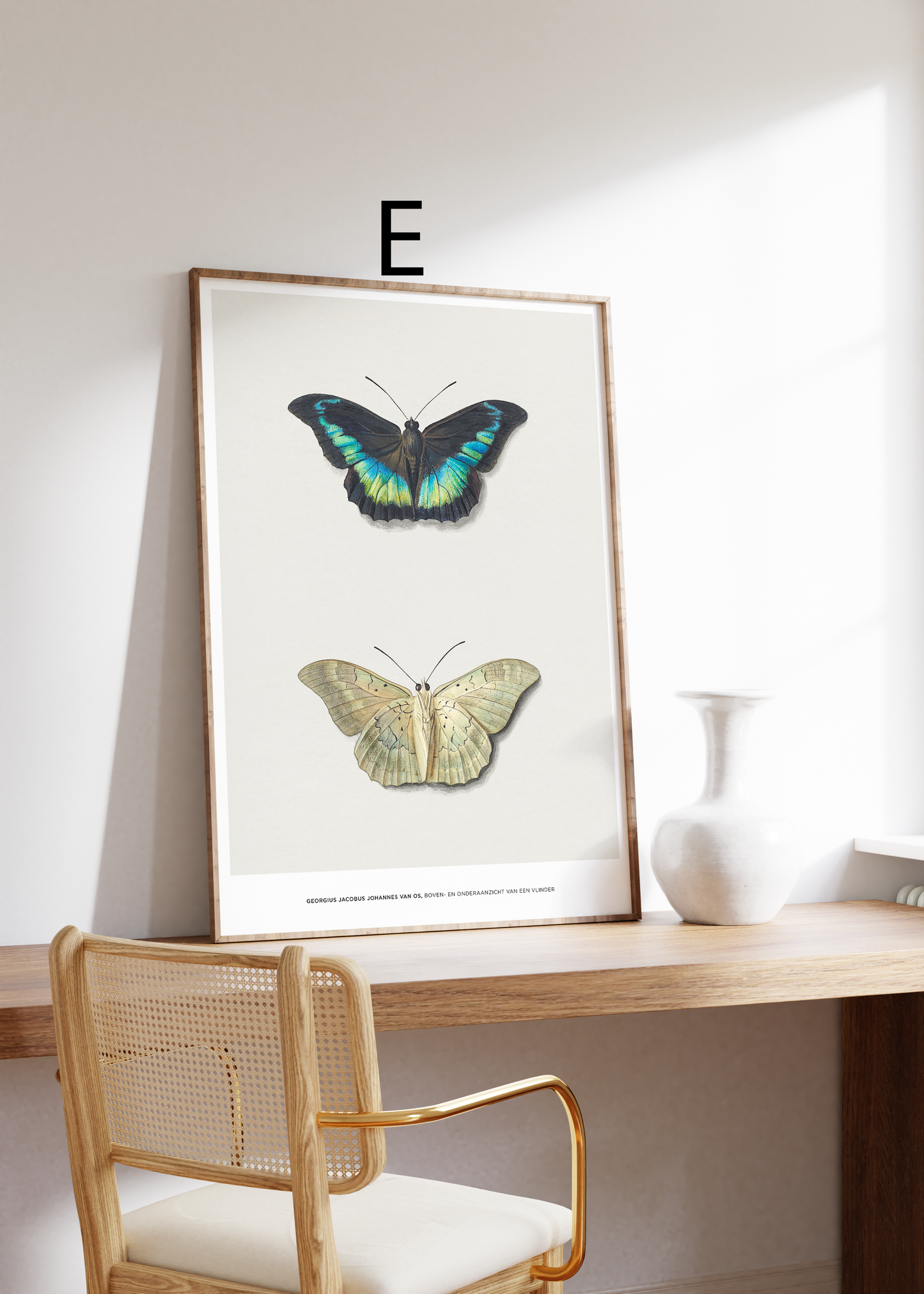 Vintage Tier Poster · Geschenkidee · Schmetterlinge Flamingo, Pfau Botanische Illustrationen · Dekoprint ohne Rahmen