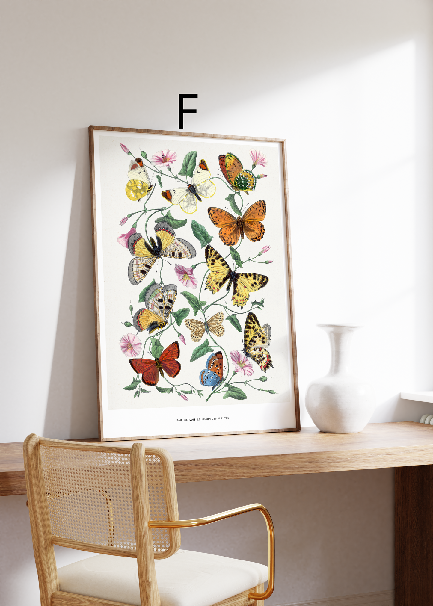 Vintage Tier Poster · Geschenkidee · Schmetterlinge Flamingo, Pfau Botanische Illustrationen · Dekoprint ohne Rahmen