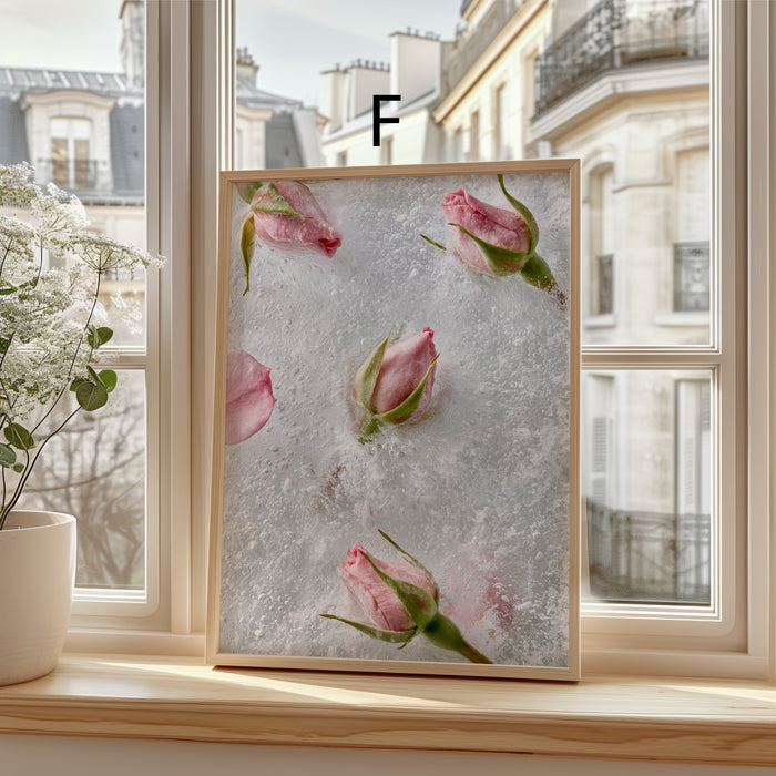 Moderne Rosen Poster | Zarte Blüten & Fotokunst | JUSTGOODMOOD