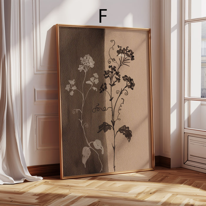 Geschenkidee · Botanische Blumen und Natur Prints Ästhetische Wandbilder · Dekoprint ohne Rahmen | JUSTGOODMOOD