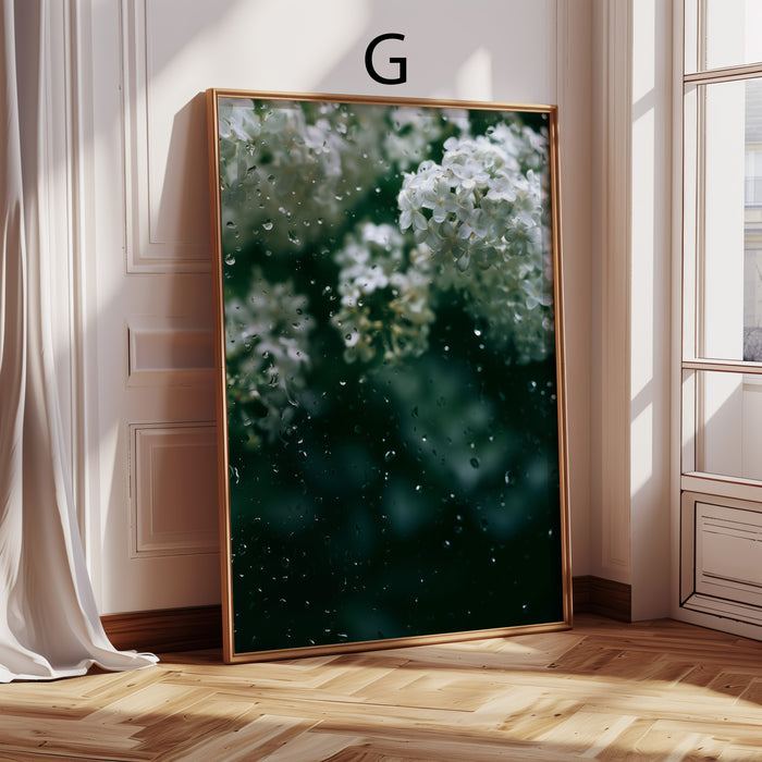 Moderne Blumen Poster | Zarte Wildblumen | JUSTGOODMOOD