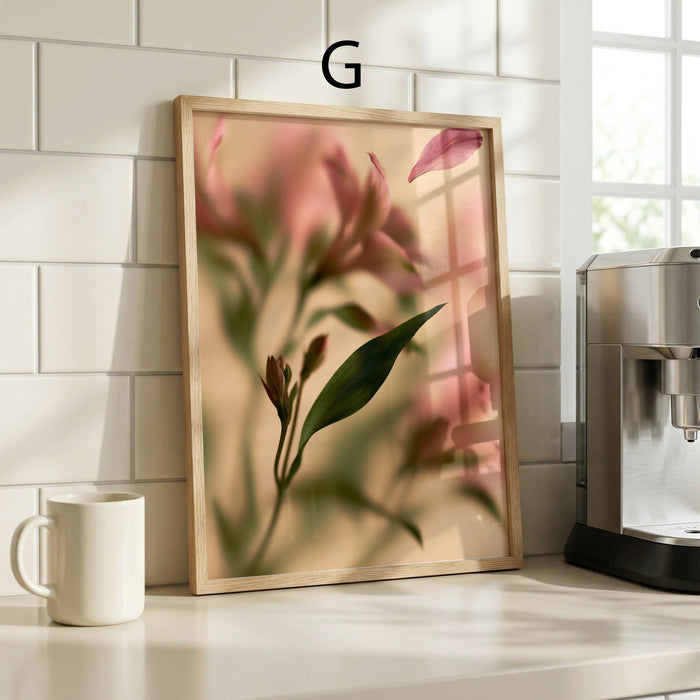 Geschenkidee · Blumen hinter beschlagenem Glas Poster Ästhetische Natur Fotografie · Dekoprint ohne Rahmen | JUSTGOODMOOD