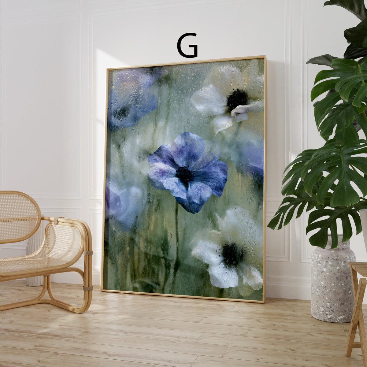 Blumen Poster · Geschenkidee · Ranunkeln Blumen beschlagenes Glas · Dekoprint ohne Rahmen