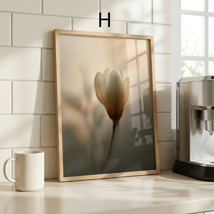 Geschenkidee · Blumen hinter beschlagenem Glas Poster Ästhetische Natur Fotografie · Dekoprint ohne Rahmen | JUSTGOODMOOD