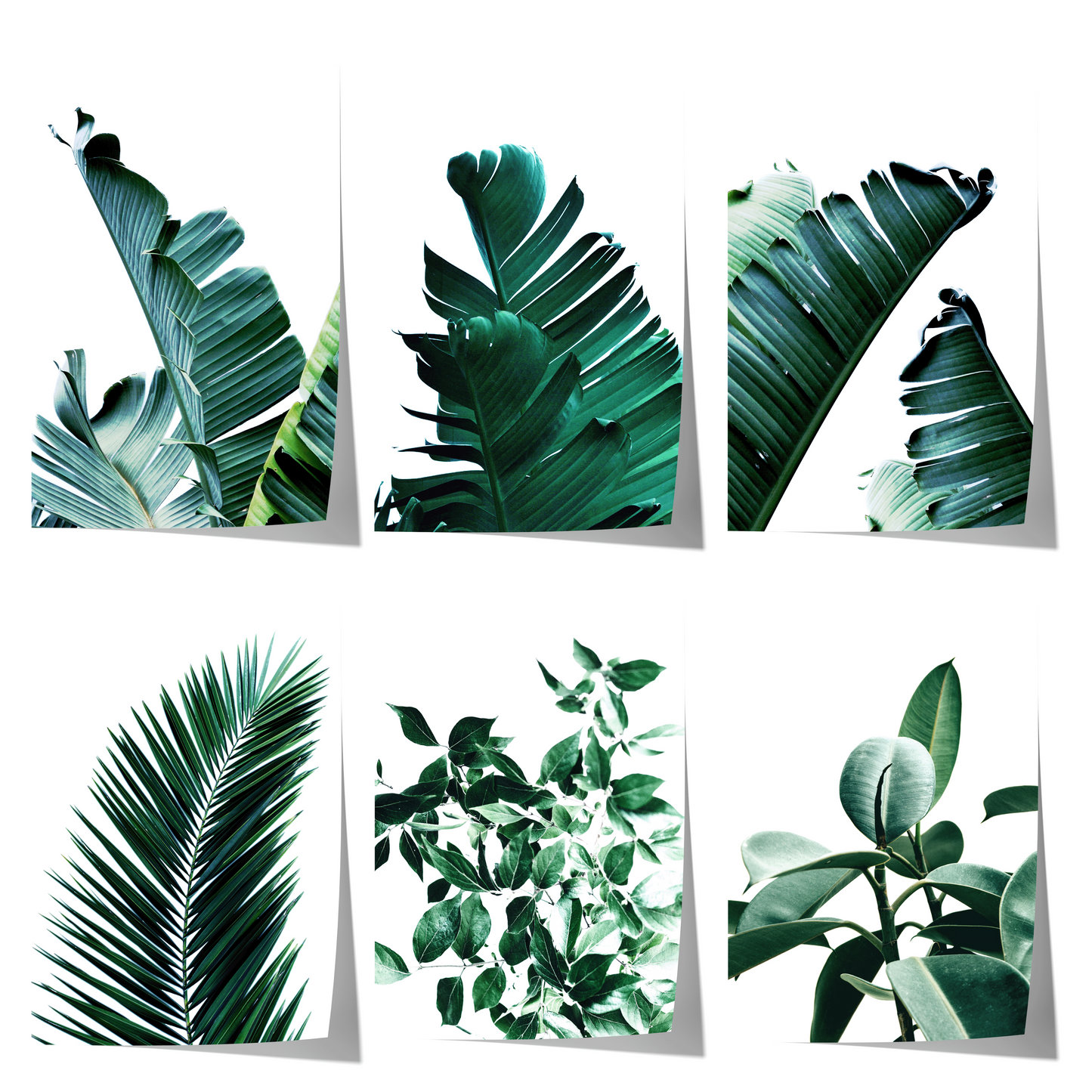 Palmenblätter Poster · Geschenkidee · Tropische Blätter Palmen Minimalistische Pflanzenkunst · Dekoprint ohne Rahmen