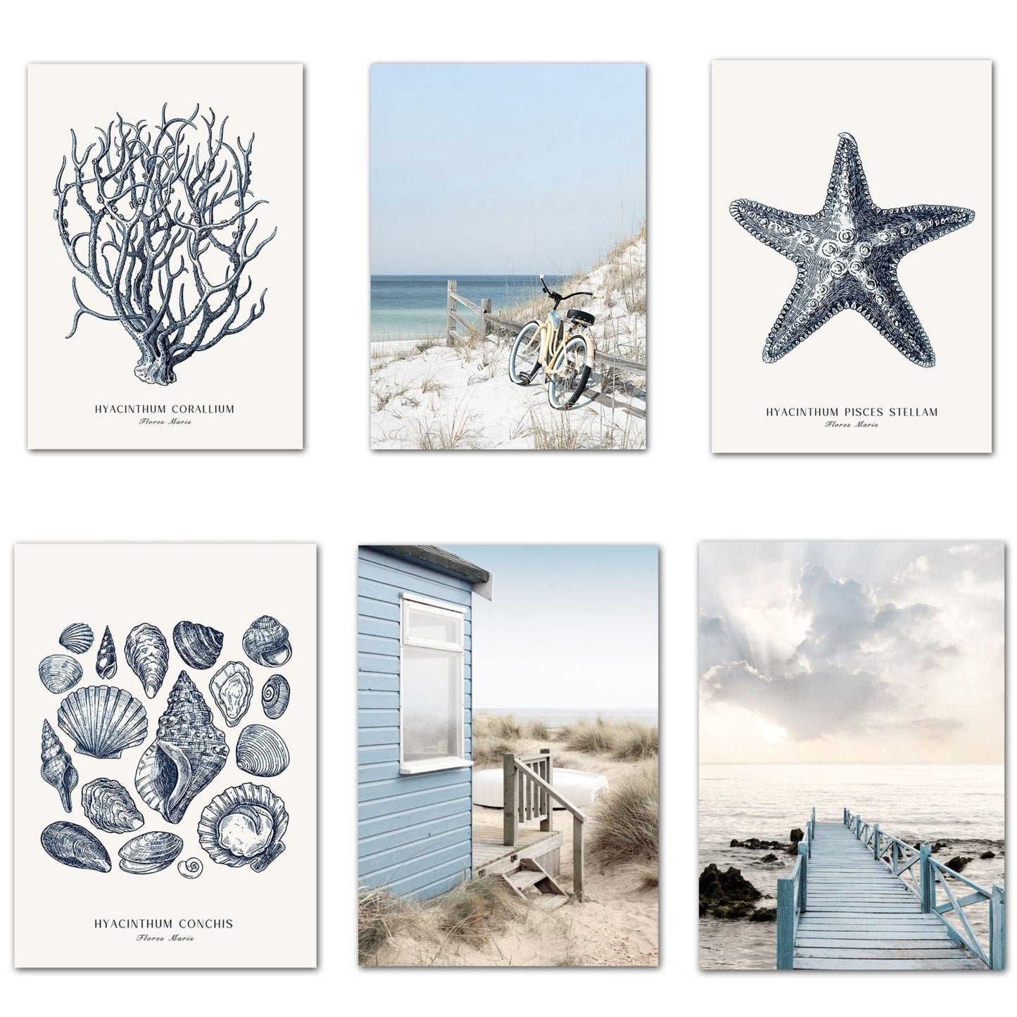 Poster Strand Hütte · Muscheln · Korallen · Ozean · Meer als Deko Print ohne Rahmen