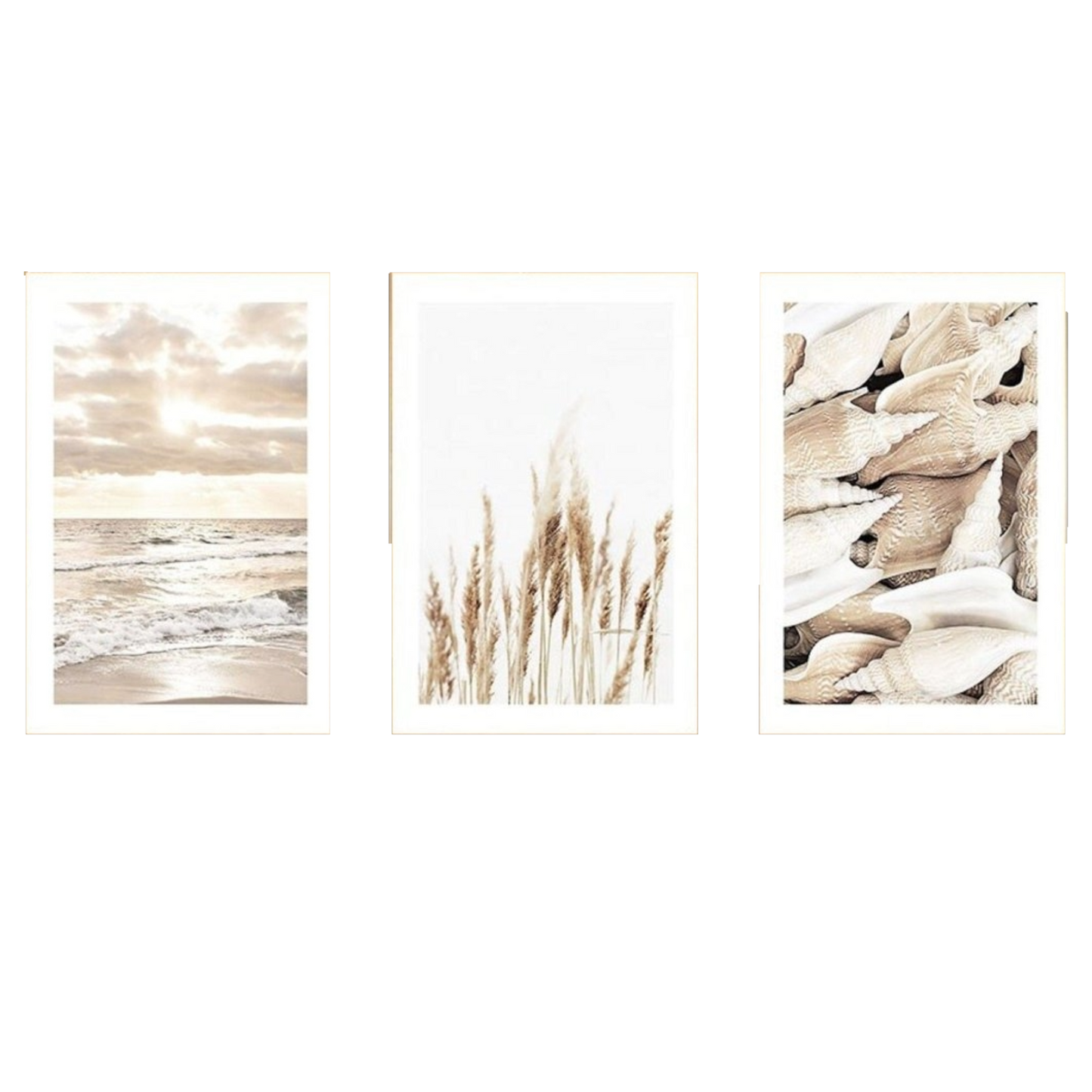 Poster Sonnenaufgang am Strand Muscheln und Pampas Gras als Deko Print ohne Rahmen