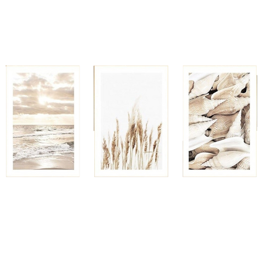 Poster Sonnenaufgang am Strand Muscheln und Pampas Gras als Deko Print ohne Rahmen
